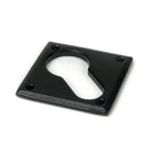 From The Anvil's Black Diamond Euro Escutcheon