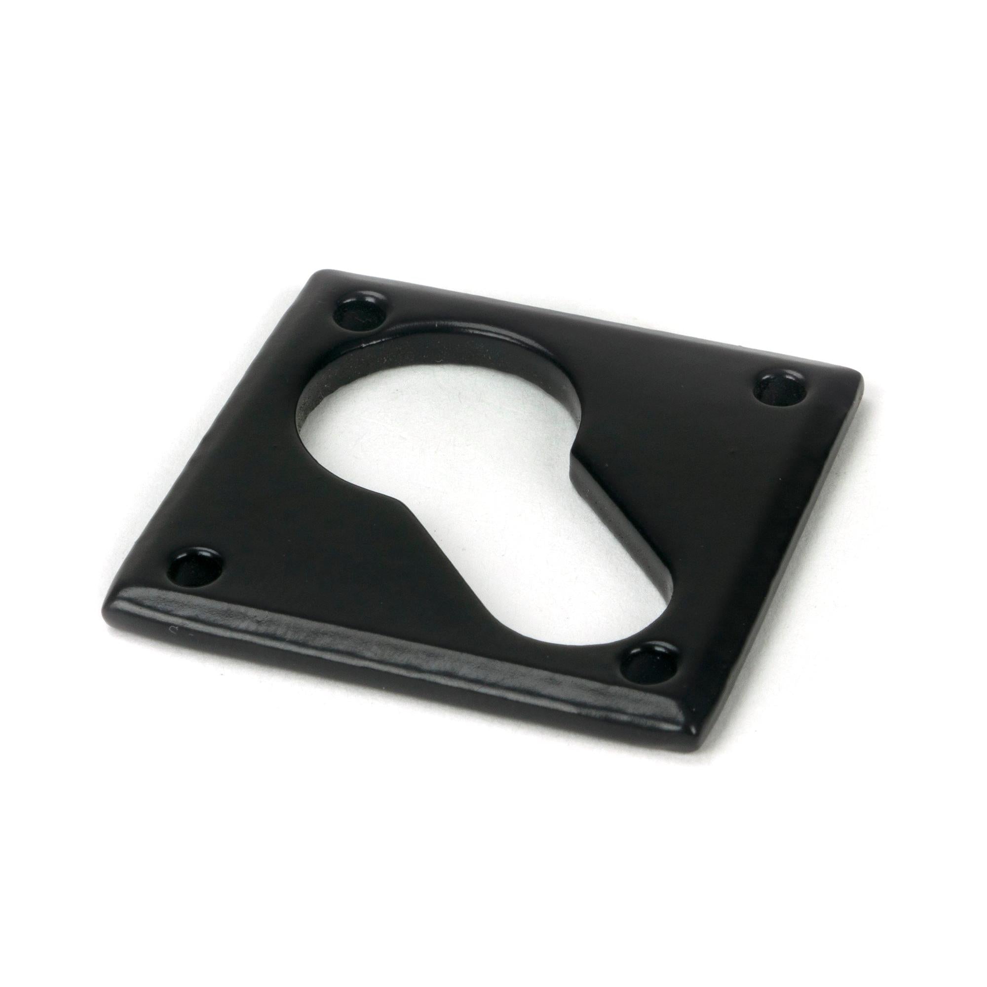 From The Anvil's Black Diamond Euro Escutcheon