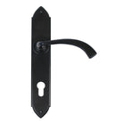 From The Anvil's Black Gothic Curved Lever Espag. Lock Set
