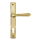From The Anvil's Aged Brass Hinton Slimline Lever Espag. Lock Set