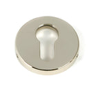 From The Anvil's Polished Nickel 52mm Regency Concealed Escutcheon