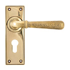 From The Anvil's Aged Brass Hammered Newbury Lever Euro Lock Set