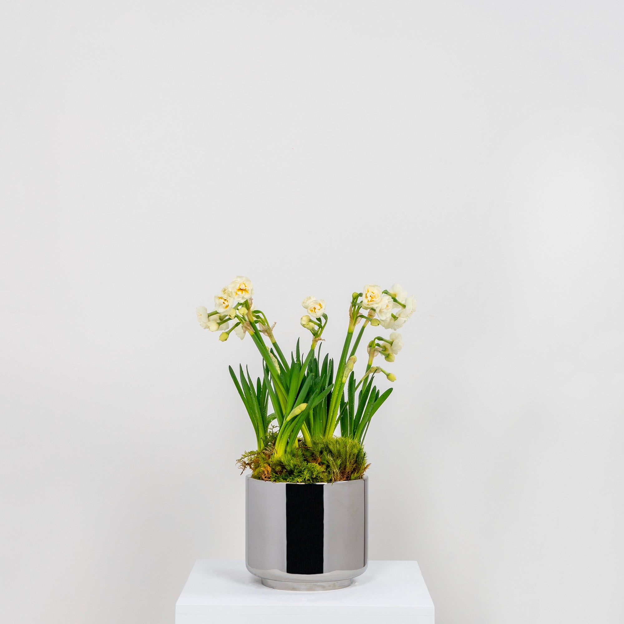 From The Anvil's Polished Marine SS (316) Newlyn Pot