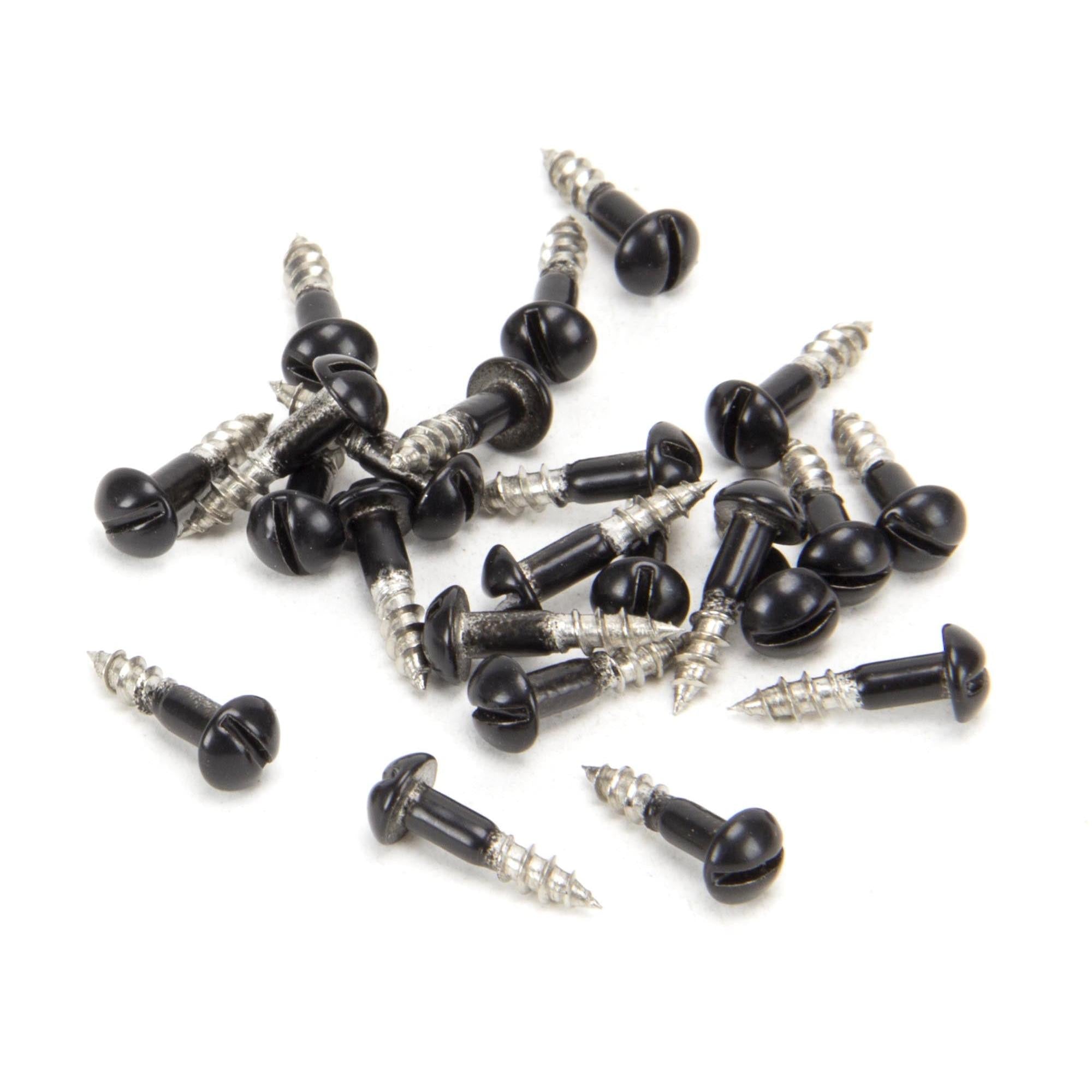From The Anvil's Black Black SS Roundhead Screws (25)