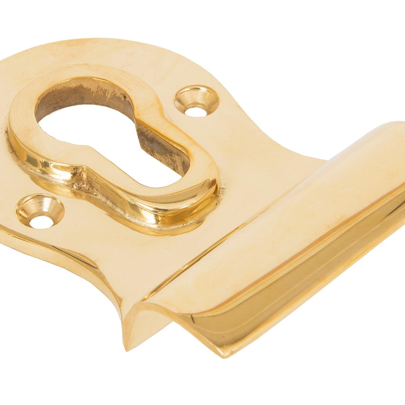 From The Anvil's Polished Brass Euro Door Pull