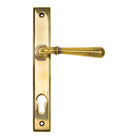 From The Anvil's Aged Brass Newbury Slimline Lever Espag. Lock Set