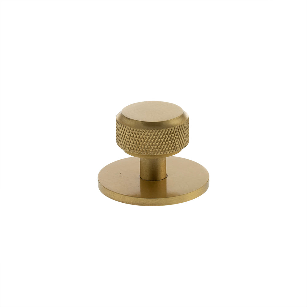 Millhouse Brass Eiffel Knurled Round Cabinet Knob Handle on Backplate - Satin Brass