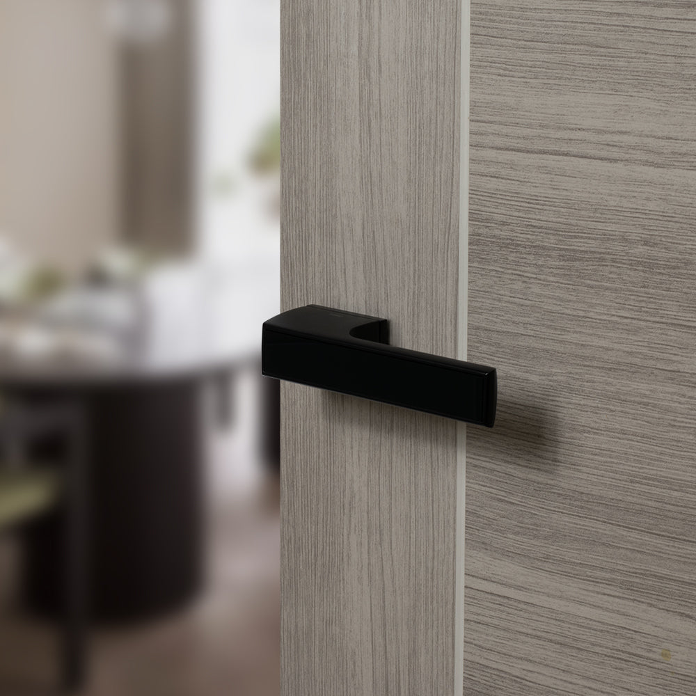 Tupai Rapido RetaLine Panela Lever Door Handle on Long Rose