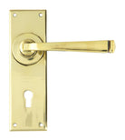 From The Anvil's Aged Brass Avon Lever Lock Set
