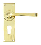 From The Anvil's Aged Brass Avon Lever Euro Lock Set