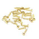 From The Anvil's Polished Brass Countersunk Raised Head Screws (25)