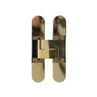 AGB Eclipse Adjustable Concealed Hinge - Polished Brass