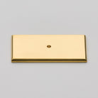 Polished Brass Unlacquered