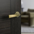 Forme Crystal Lever Door Handle on Minimal Round Rose