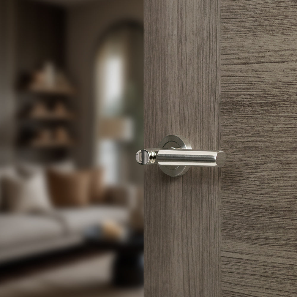 Mediterranean Palermo Lever Door Handle on Round Rose - Satin Nickel/