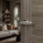 Mediterranean Palermo Lever Door Handle on Round Rose - Satin Nickel/