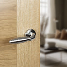 Mediterranean Oran Lever Door Handle on Round Rose - Satin Nickel/