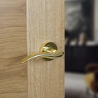 Mediterranean Barcelona Lever Door Handle on Round Rose