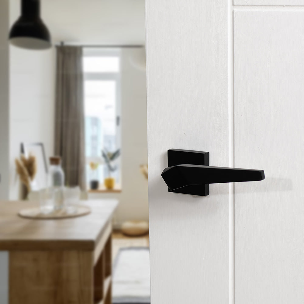 Oro & Oro Skywalker Lever Door Handle on Square Rose