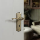Old English Warwick WC Lever Door Handle on Backplate
