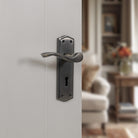 Old English Warwick Latch Lever Door Handle on Backplate