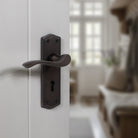 Old English Warwick WC Lever Door Handle on Backplate