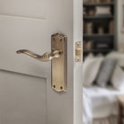 Old English Warwick Latch Lever Door Handle on Backplate