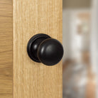 Old English Harrogate Solid Brass Mushroom Mortice Knob on Concealed Fix Rose