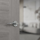 STATUS Arizona Lever Door Handle on Round Rose