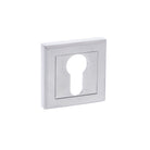 STATUS Euro Escutcheons on Square Rose - Satin Chrome