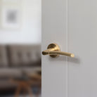 STATUS Indiana Lever Door Handle on Round Rose