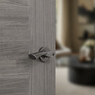 STATUS Colorado Lever Door Handle on Round Rose