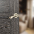 STATUS Colorado Lever Door Handle on Round Rose