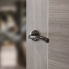 STATUS Texas Lever Door Handle on Round Rose