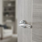 STATUS Texas Lever Door Handle on Round Rose