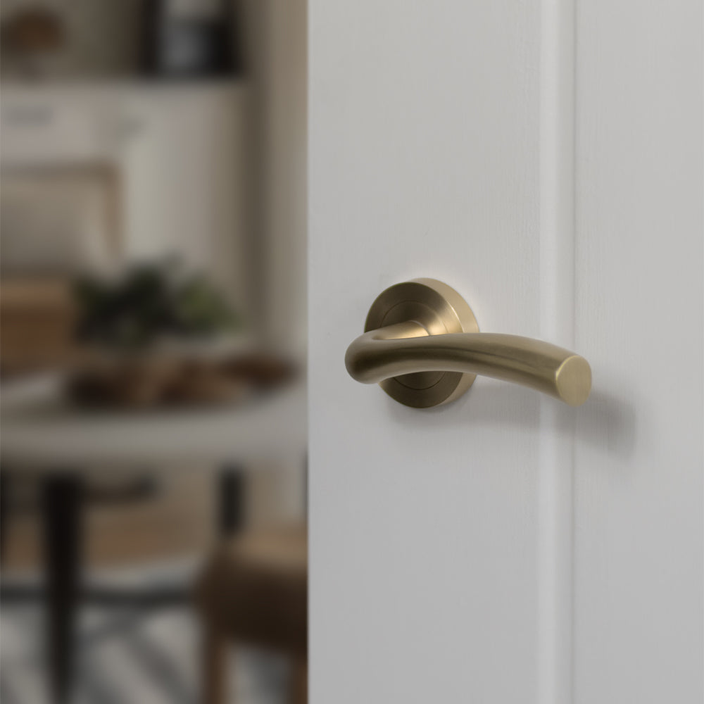 STATUS Texas Lever Door Handle on Round Rose