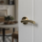 STATUS Texas Lever Door Handle on Round Rose
