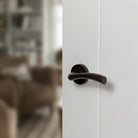 STATUS Texas Lever Door Handle on Round Rose