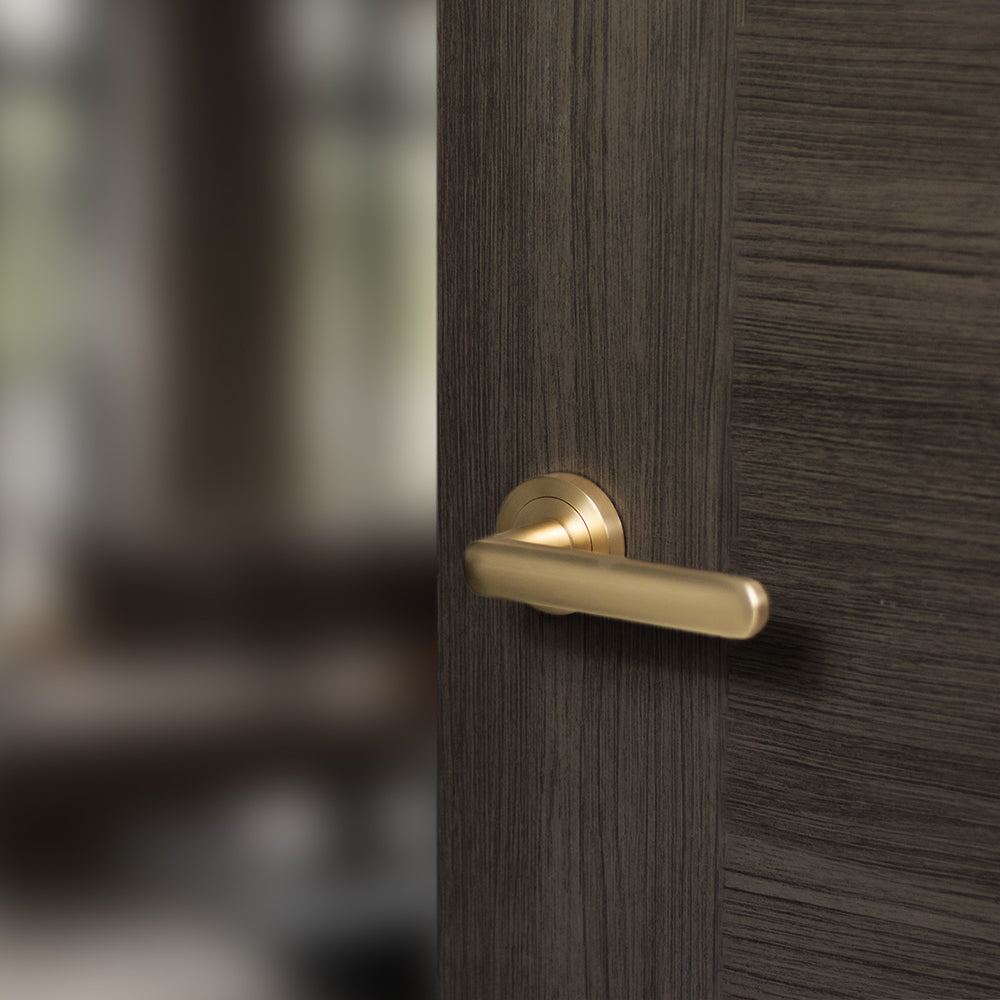 STATUS Carolina Lever Door Handle on Round Rose