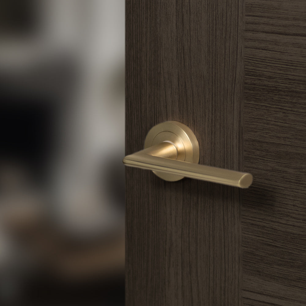 STATUS Alabama Lever Door Handle on Round Rose
