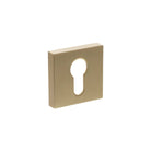 Senza Pari Euro Escutcheons on Minimal Square Rose - Satin Brass