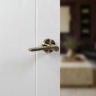 Senza Pari Darrio Lever Door Handle on Round Rose