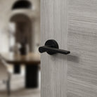 Senza Pari Darrio Lever Door Handle on Round Rose