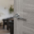 Senza Pari Darrio Lever Door Handle on Round Rose
