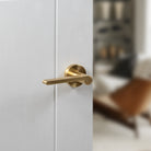 Senza Pari Darrio Lever Door Handle on Round Rose