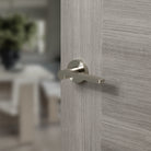 Senza Pari Darrio Lever Door Handle on Round Rose