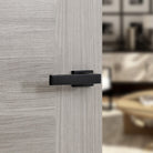 Tupai Rapido RetaLine Rillo Lever Door Handle on Long Rose