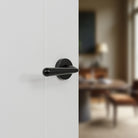 Tupai Rapido CurvaLine Adra Lever Door Handle on Round Rose
