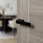 Tupai Rapido VersaLine Tobar Lever Door Handle on Long Rose - (Without Decorative Plate)