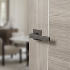 Tupai Rapido 5S Line Portel Lever Door Handle on 5mm Slimline Square Rose